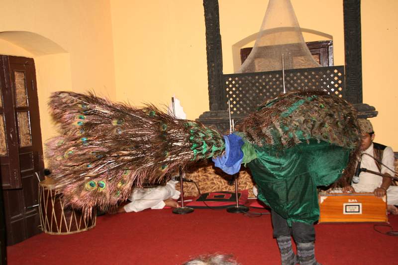 India & Nepal 2011 - 0339